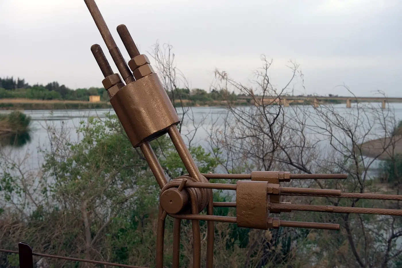 الفرات عند دير الزور: النهرُ الذي سقى بساتينَ المشمش على ضفّتيه.
