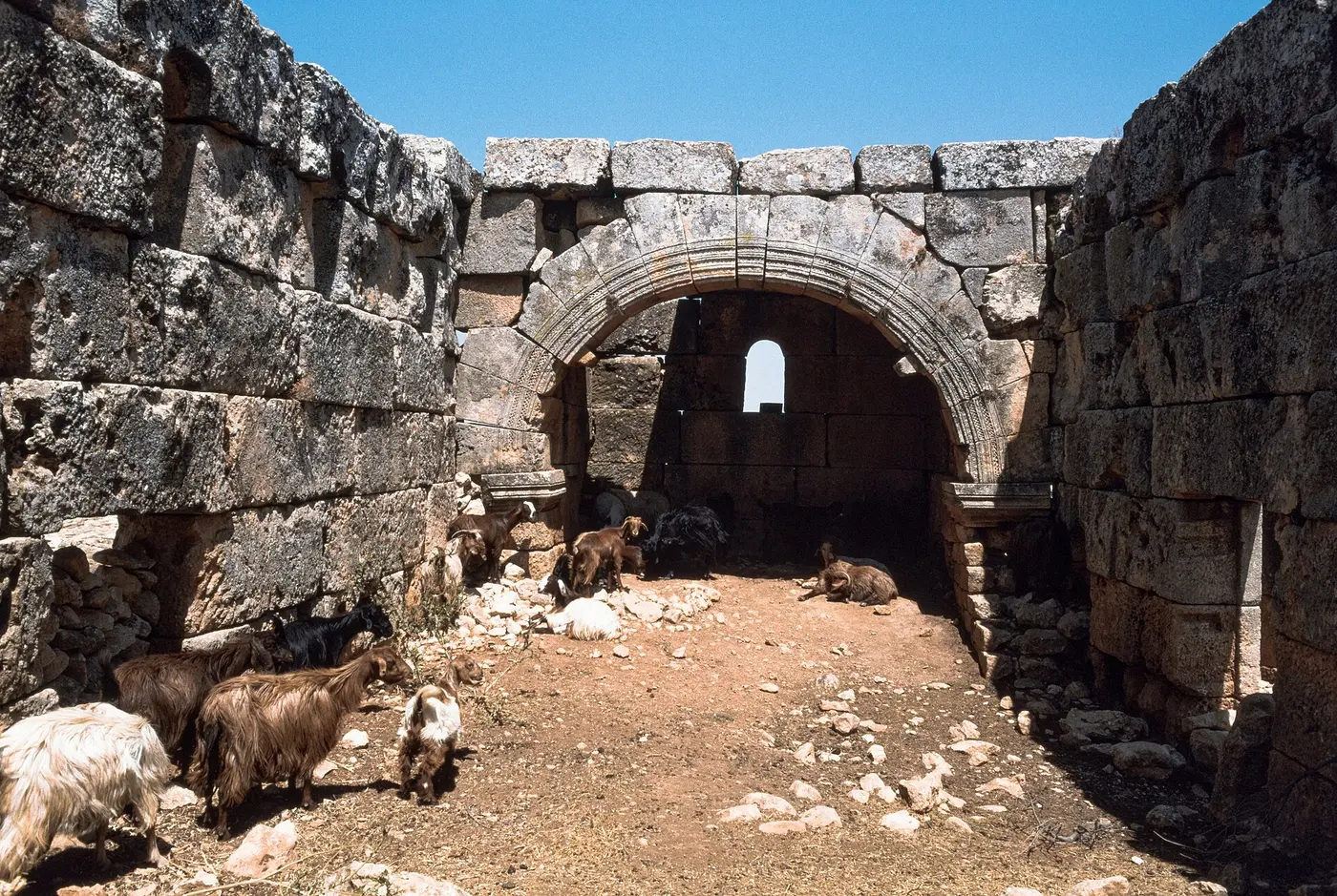 كنيسة برج حيدر من الجنوب.
